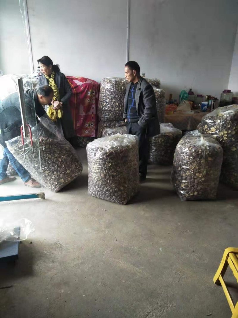 产地供应椴木干香菇3-5cm一箱起批发包邮