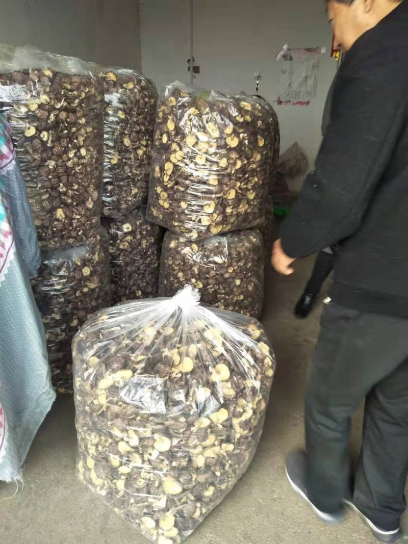 产地供应椴木干香菇3-5cm一箱起批发包邮