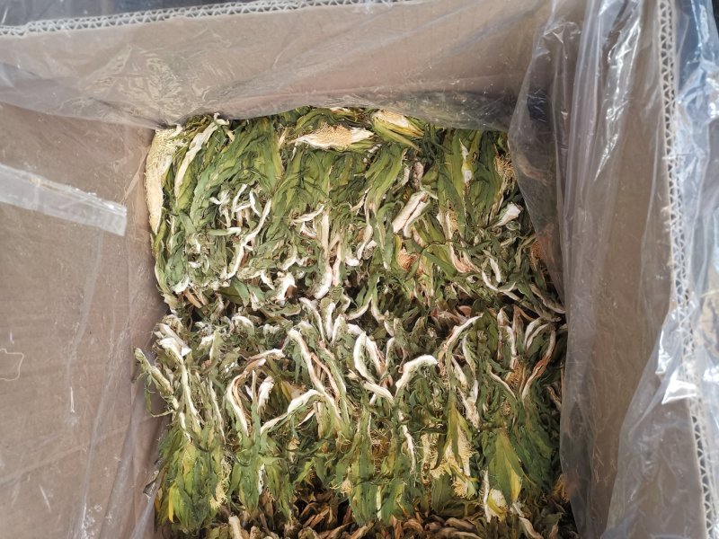 一级品质