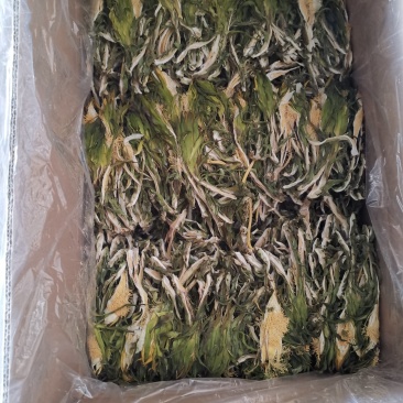 一级品质