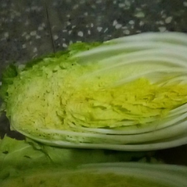 娃娃菜