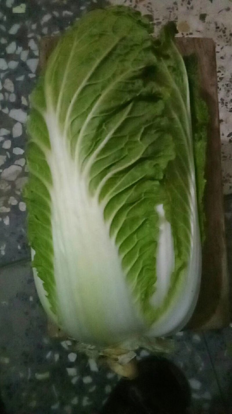 娃娃菜