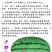 天龙998西瓜种子中熟特大花皮亮绿春季含糖15高产少籽