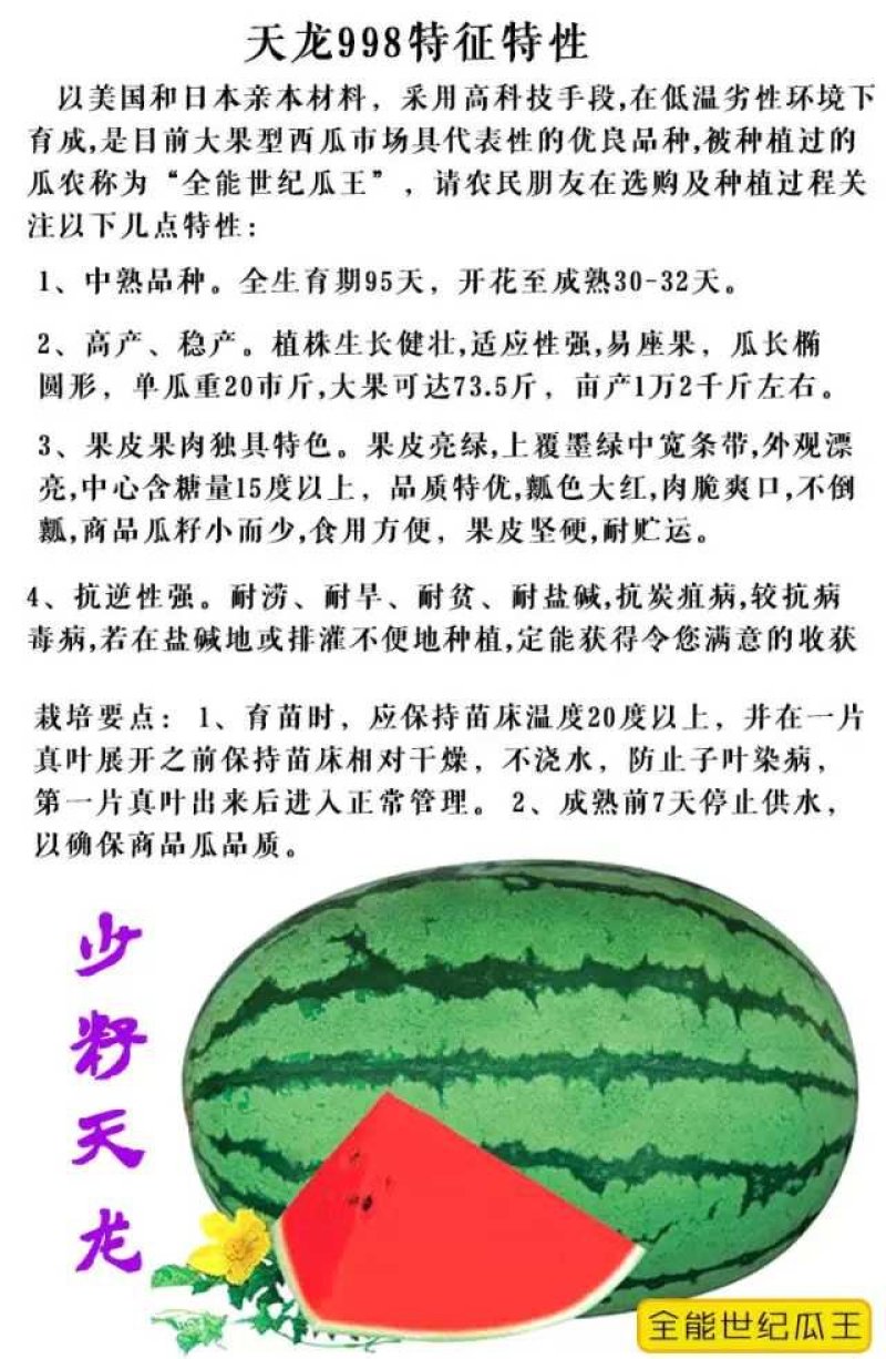 天龙998西瓜种子中熟特大花皮亮绿春季含糖15高产少籽
