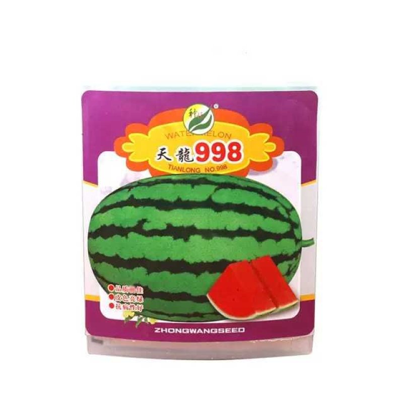 天龙998西瓜种子中熟特大花皮亮绿春季含糖15高产少籽