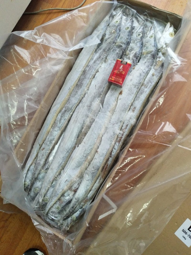 国产，进口带鱼规格齐全