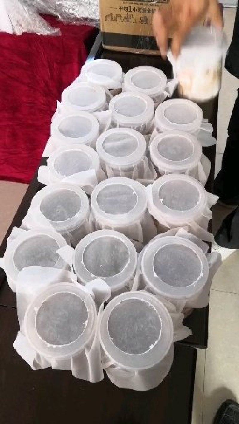 黑水虻虫卵