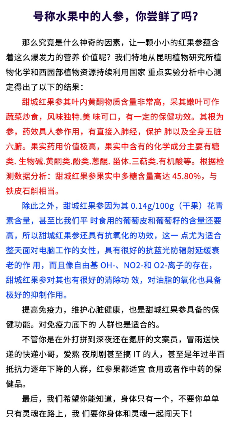 红果参蜘蛛果甜甜的算盘果药食同源