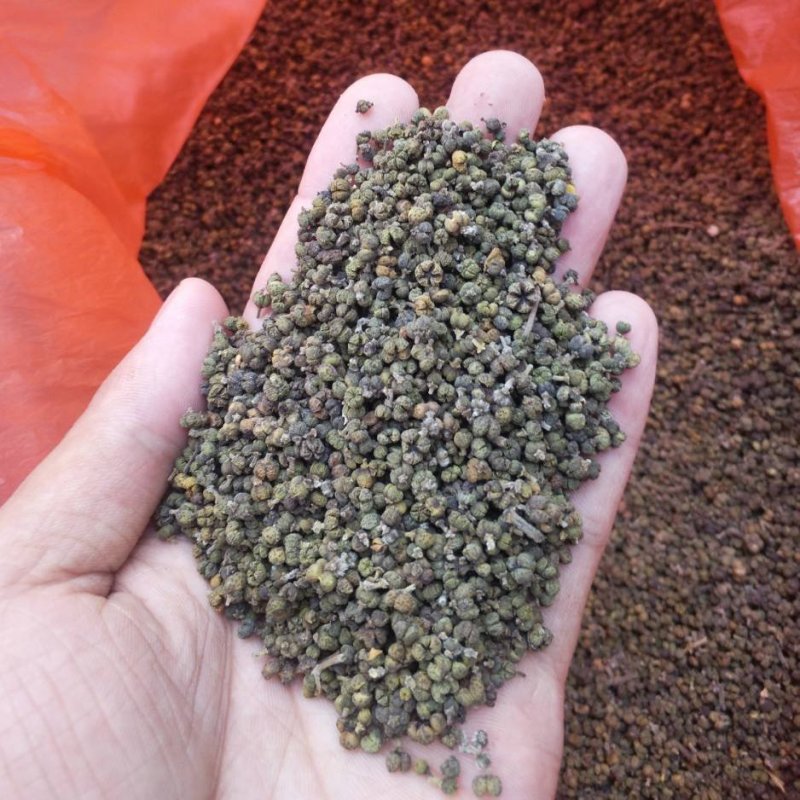 吴茱萸小花统货正品本地货