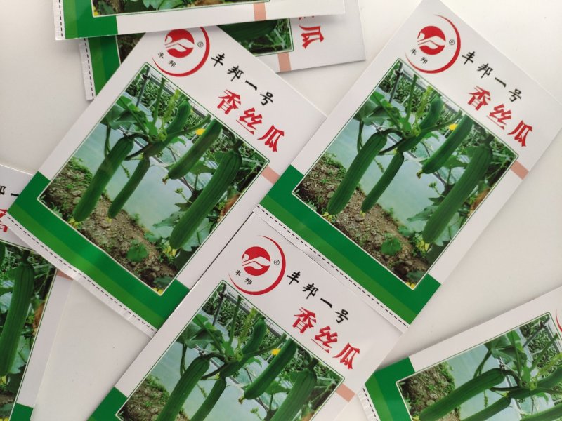 丰邦一号短帮油皮丝瓜种籽原袋发货支持线上交易