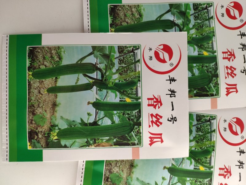 丰邦一号短帮油皮丝瓜种籽原袋发货支持线上交易