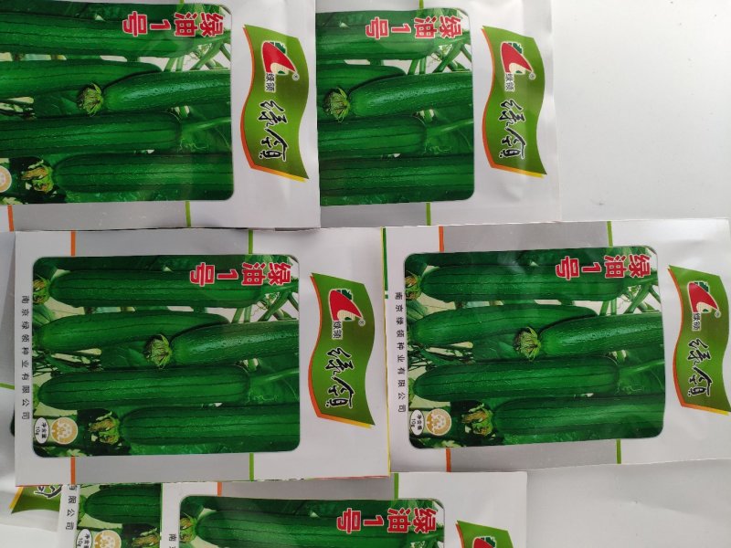 绿油一号油皮丝瓜种籽10克袋装支持线上交易