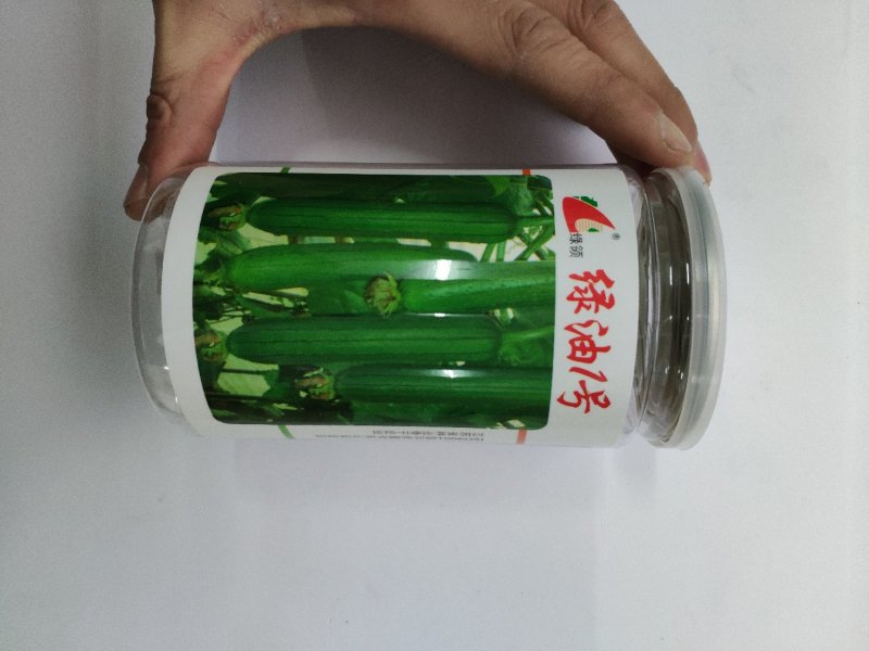 绿油一号油皮丝瓜种籽10克袋装支持线上交易