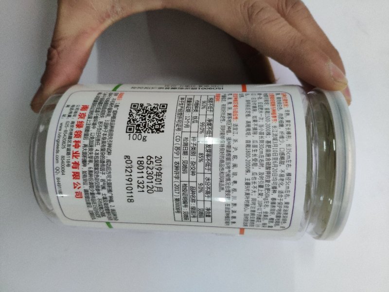 绿油一号油皮丝瓜种籽10克袋装支持线上交易