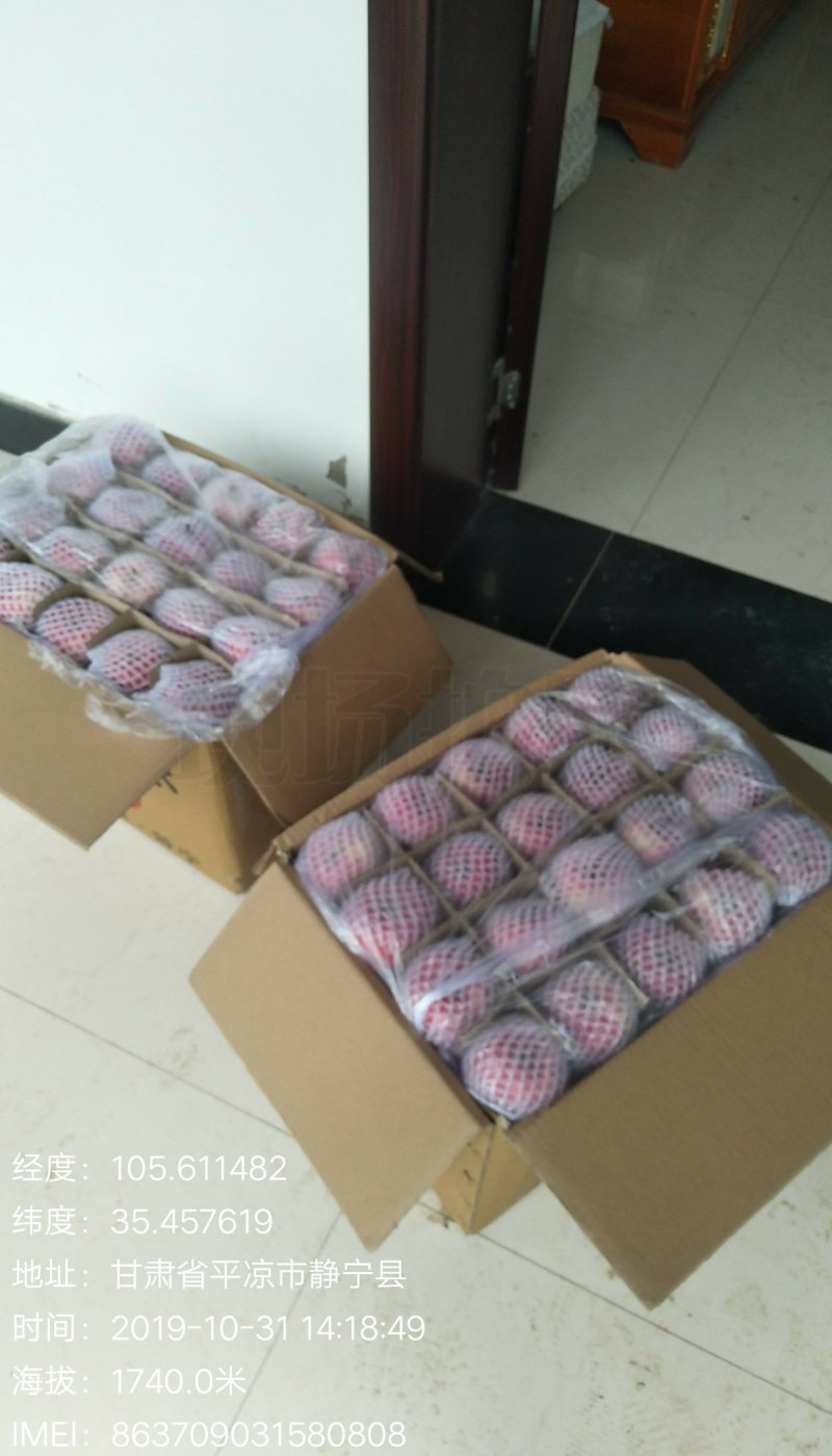 静宁红富士嗄拉秦冠元帅烟富十烟富八