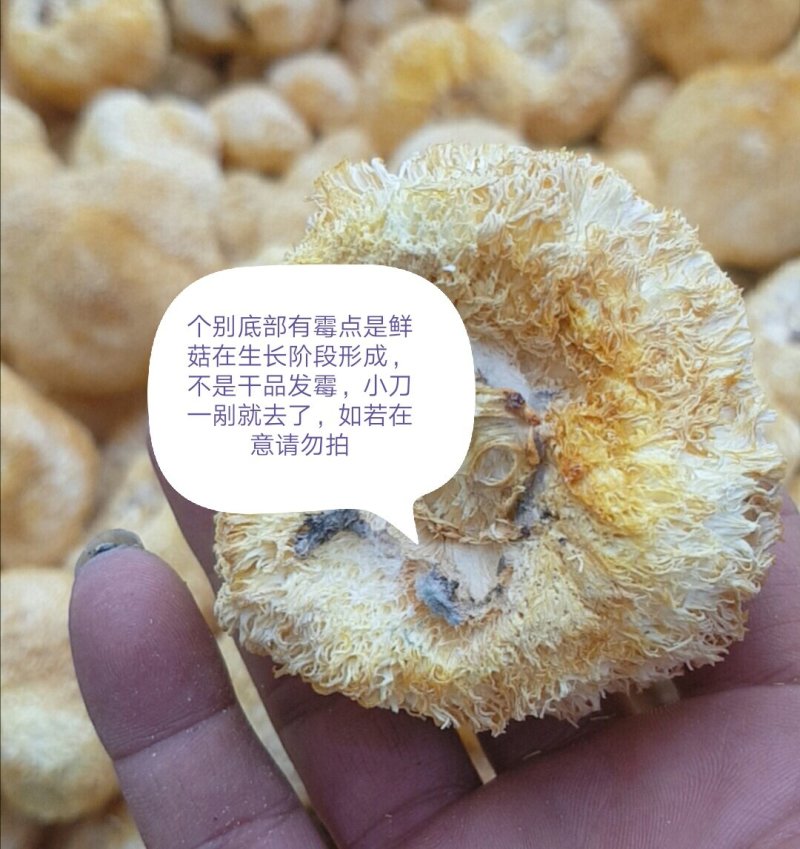 无硫好吃货猴头菇，规格多样