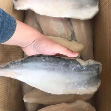 精选带皮巴沙鱼片（鱼柳）巴沙鱼证件齐全质量好