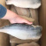 精选带皮巴沙鱼片（鱼柳）巴沙鱼证件齐全质量好