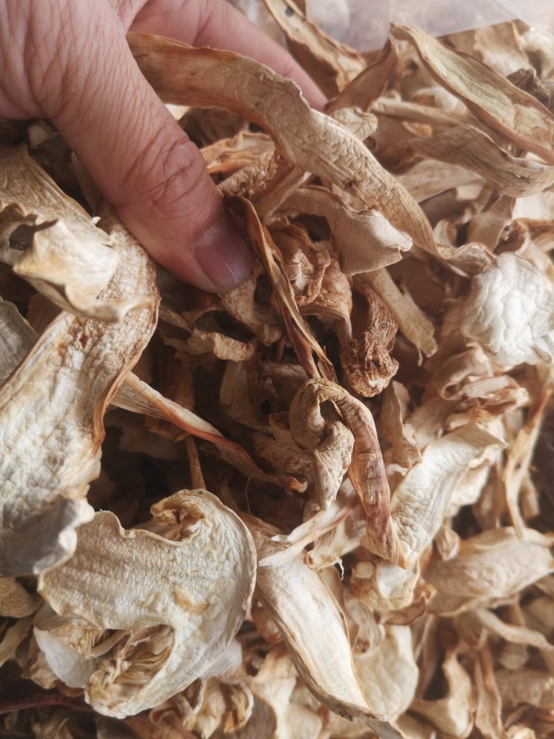 大量批发长白山松茸干片野生松茸食用菌松茸