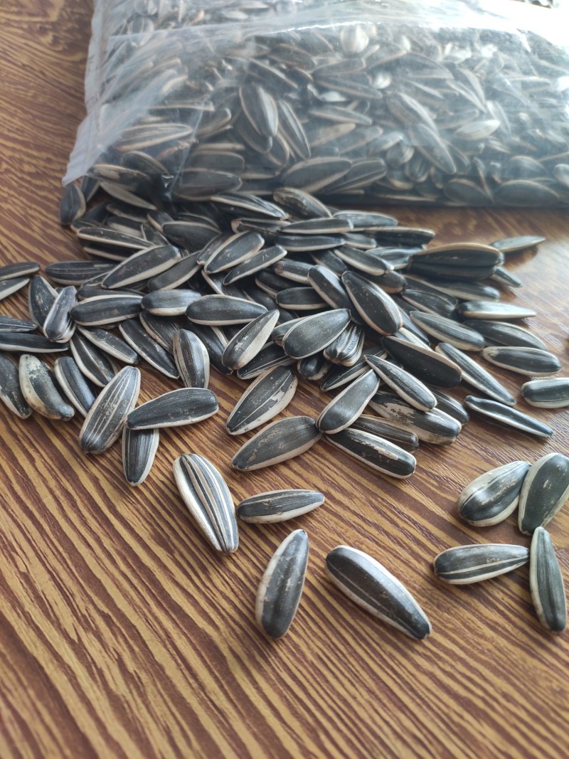 河套瓜子批发零售！天富河套世界共享