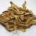 长白山黄牛肝菌黄赖头牛肝菌美味牛肝菌食用菌