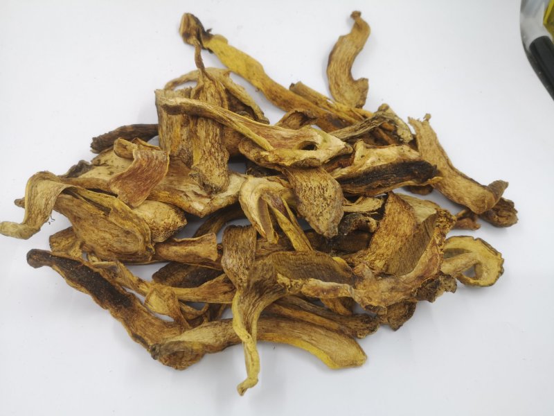 长白山黄牛肝菌黄赖头牛肝菌美味牛肝菌食用菌