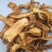 长白山黄牛肝菌黄赖头牛肝菌美味牛肝菌食用菌