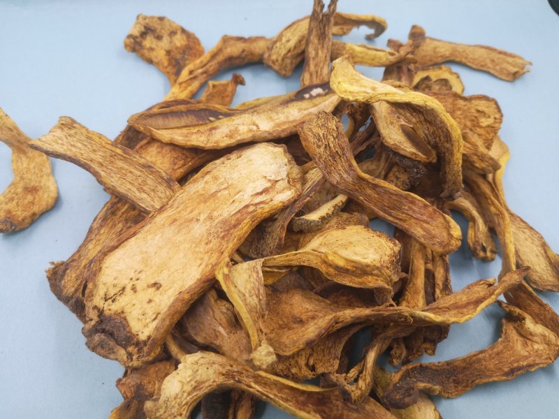长白山黄牛肝菌黄赖头牛肝菌美味牛肝菌食用菌