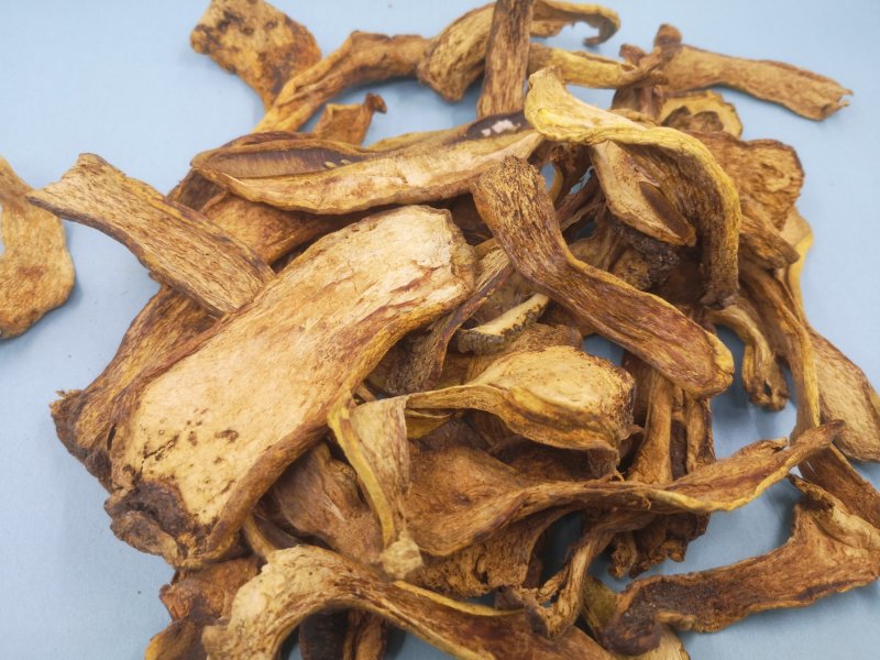 长白山黄牛肝菌黄赖头牛肝菌美味牛肝菌食用菌