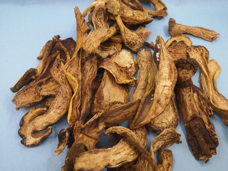 长白山黄牛肝菌黄赖头牛肝菌美味牛肝菌食用菌
