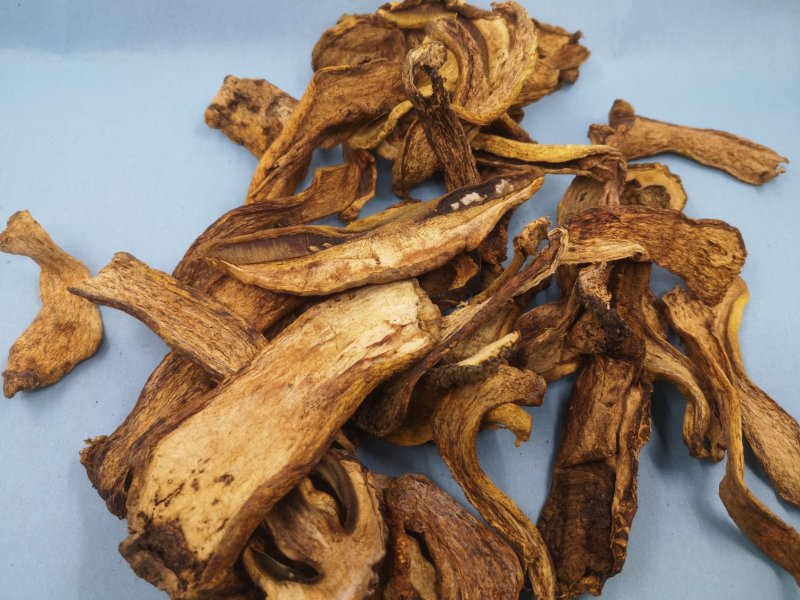 长白山黄牛肝菌黄赖头牛肝菌美味牛肝菌食用菌