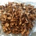 长白山黄牛肝菌黄赖头牛肝菌美味牛肝菌食用菌