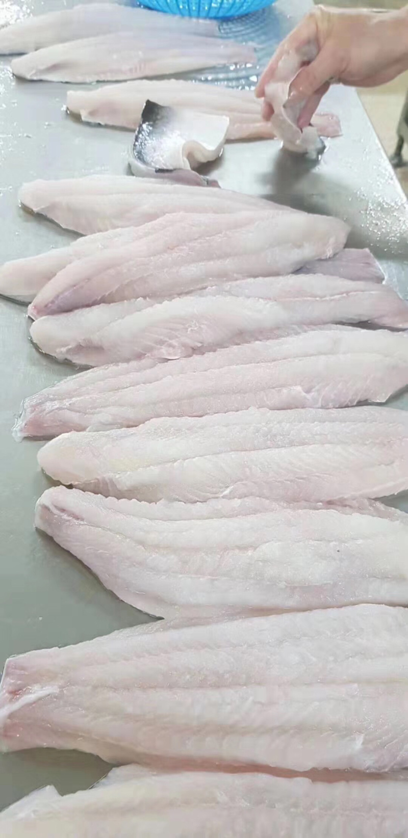 去皮巴沙鱼片（巴沙鱼柳）
