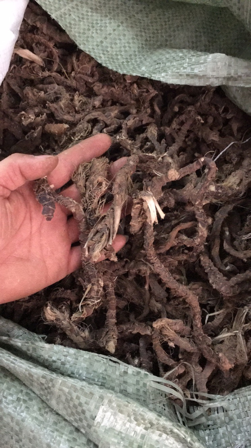 石菖蒲，干货野生药材