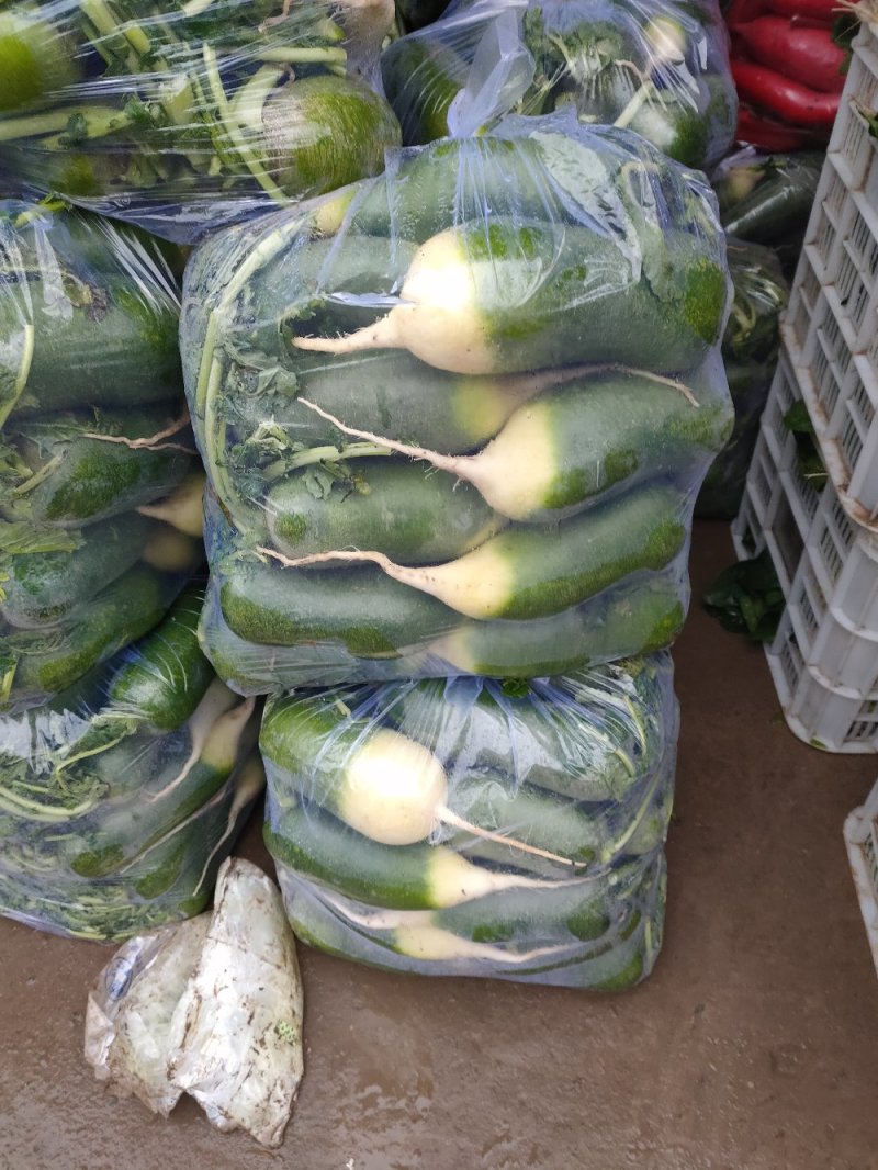 水果萝卜，精品水果萝卜，万亩蔬菜
