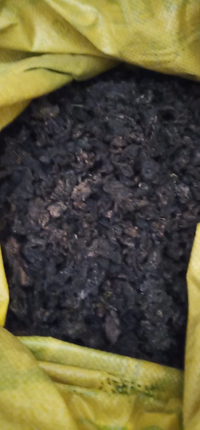 河南纯野生地皮菜野生菌类营养价值价值高品质好价格低