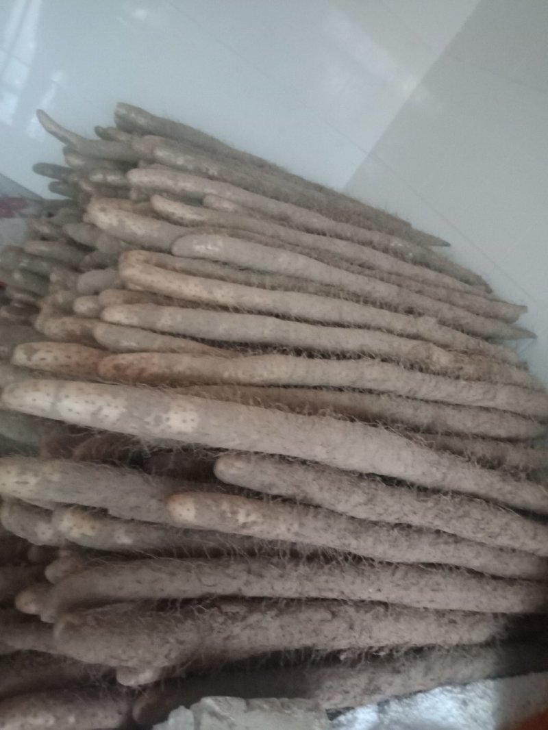 山药河北铁棍山药，双棒，白嘴，条形好，装车快，一手货源