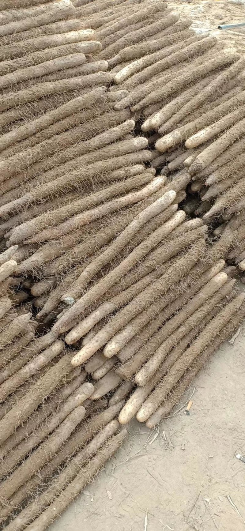 山药河北铁棍山药，双棒，白嘴，条形好，装车快，一手货源