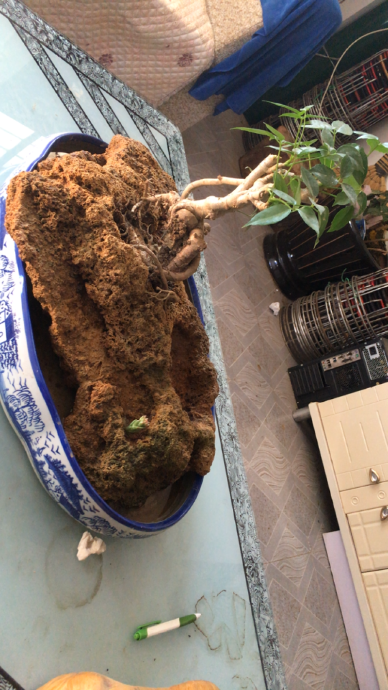 吸水石