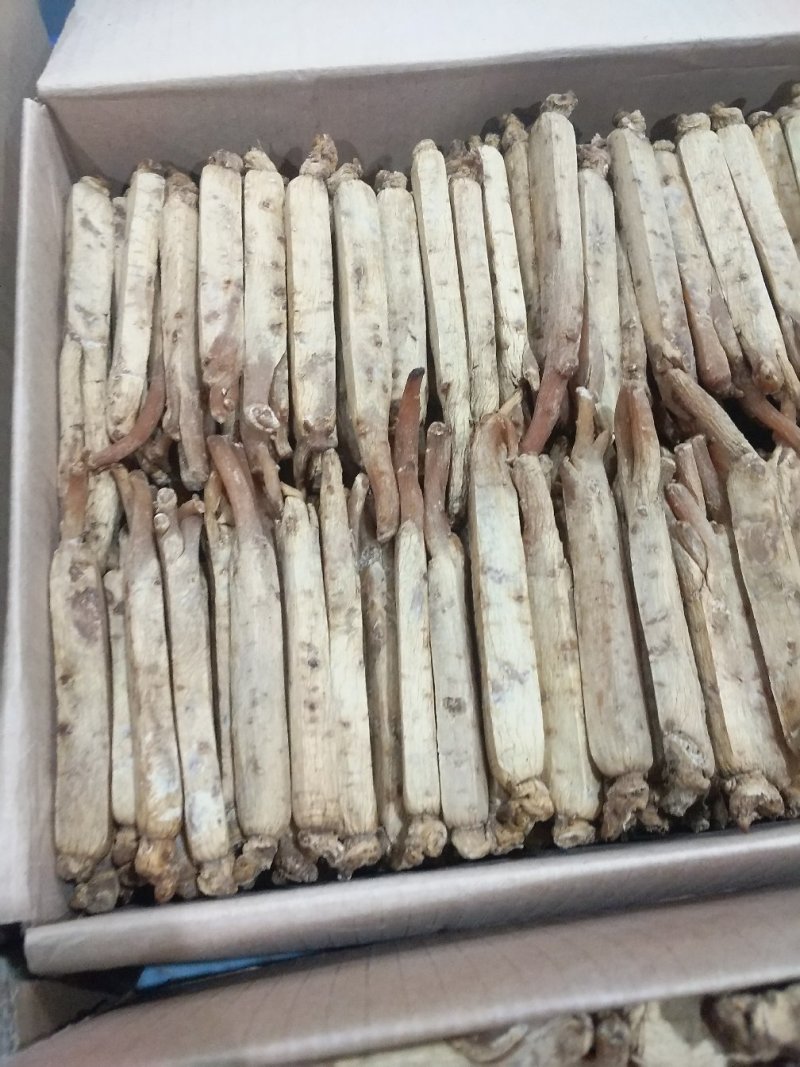 【黄马褂高丽参】黄马褂高丽参压块精品无糖包邮