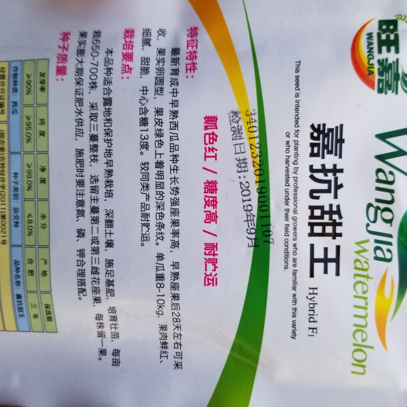 25克嘉抗甜王西瓜种牛商推荐量大从优