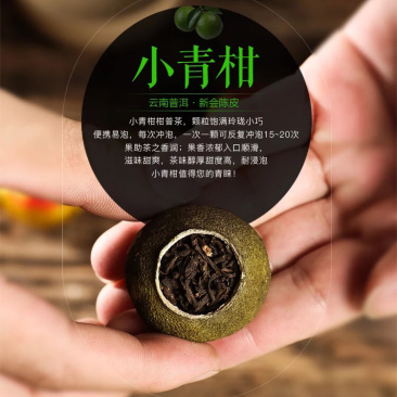 小青柑普洱茶熟茶新会小青柑500克包邮