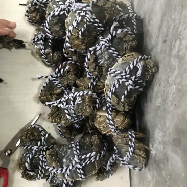 《有好货》带黄大闸蟹常年销售