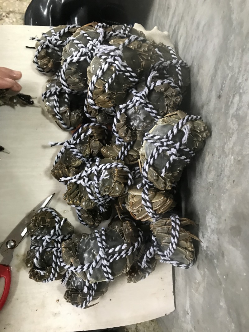《有好货》带黄大闸蟹常年销售