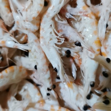 水产干货麟虾冻货