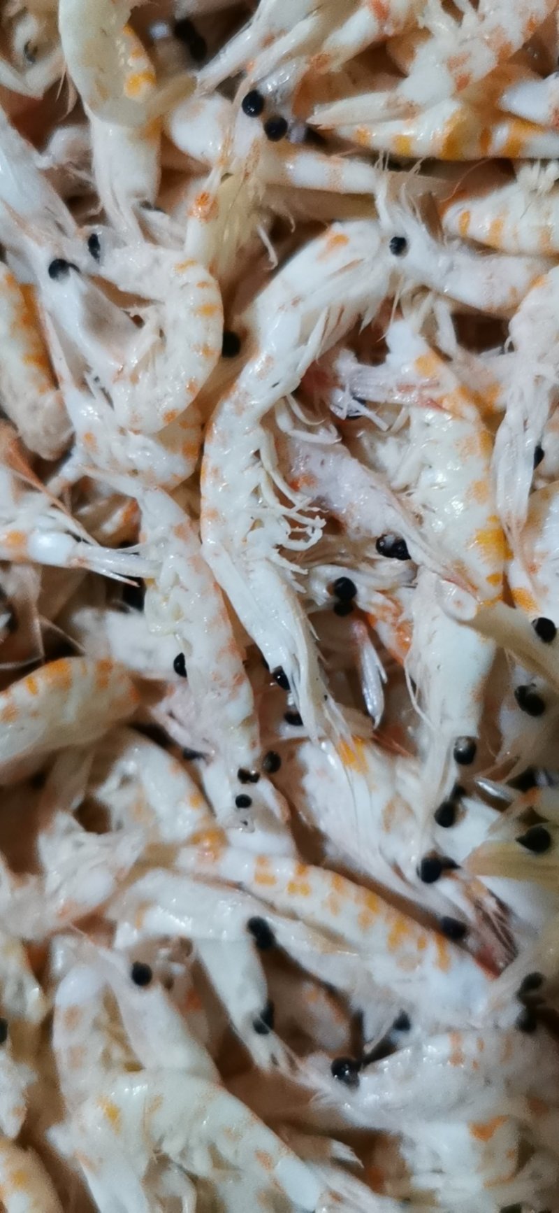 水产干货麟虾冻货