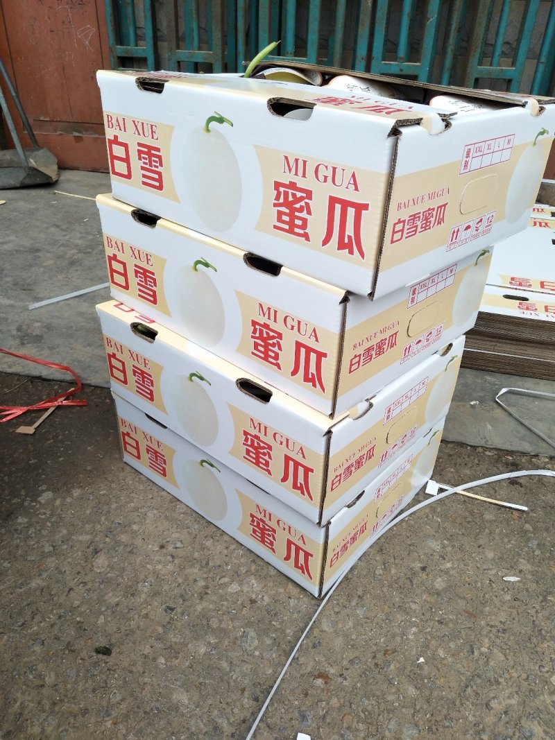 玉姑甜瓜2.5斤以上中国甜瓜香瓜哈密瓜基地！
