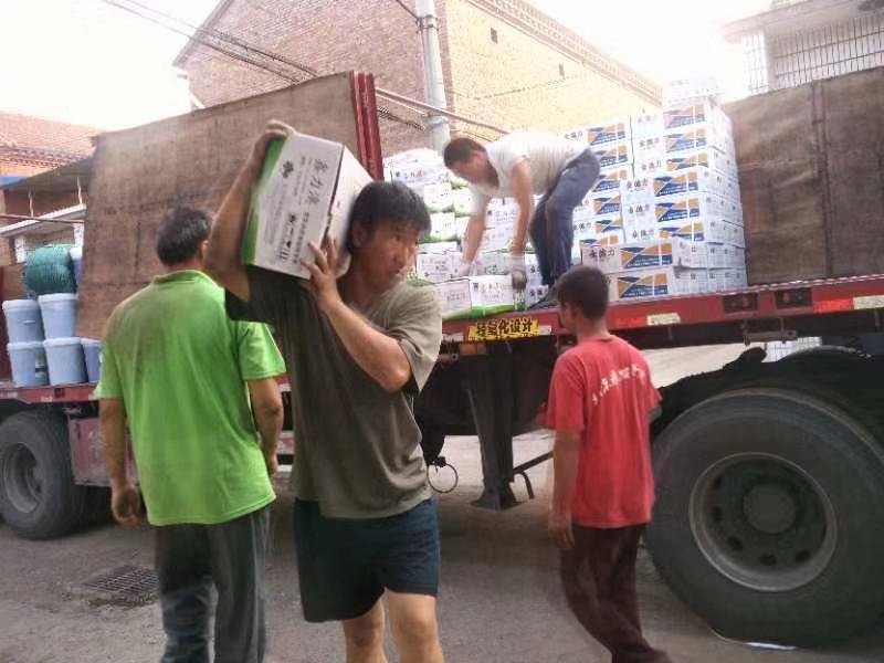 地宝（含氨基酸活化酶的液态肥）40斤桶装山东寿光包邮