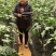 地宝（含氨基酸活化酶的液态肥）40斤桶装山东寿光包邮