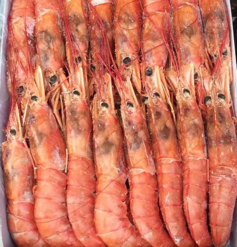 阿根廷红虾
